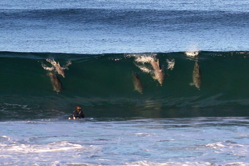 come fare surf regole per principianti